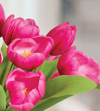 Macro close-up of hand-shaped silk tulip petals showing realistic color gradients
